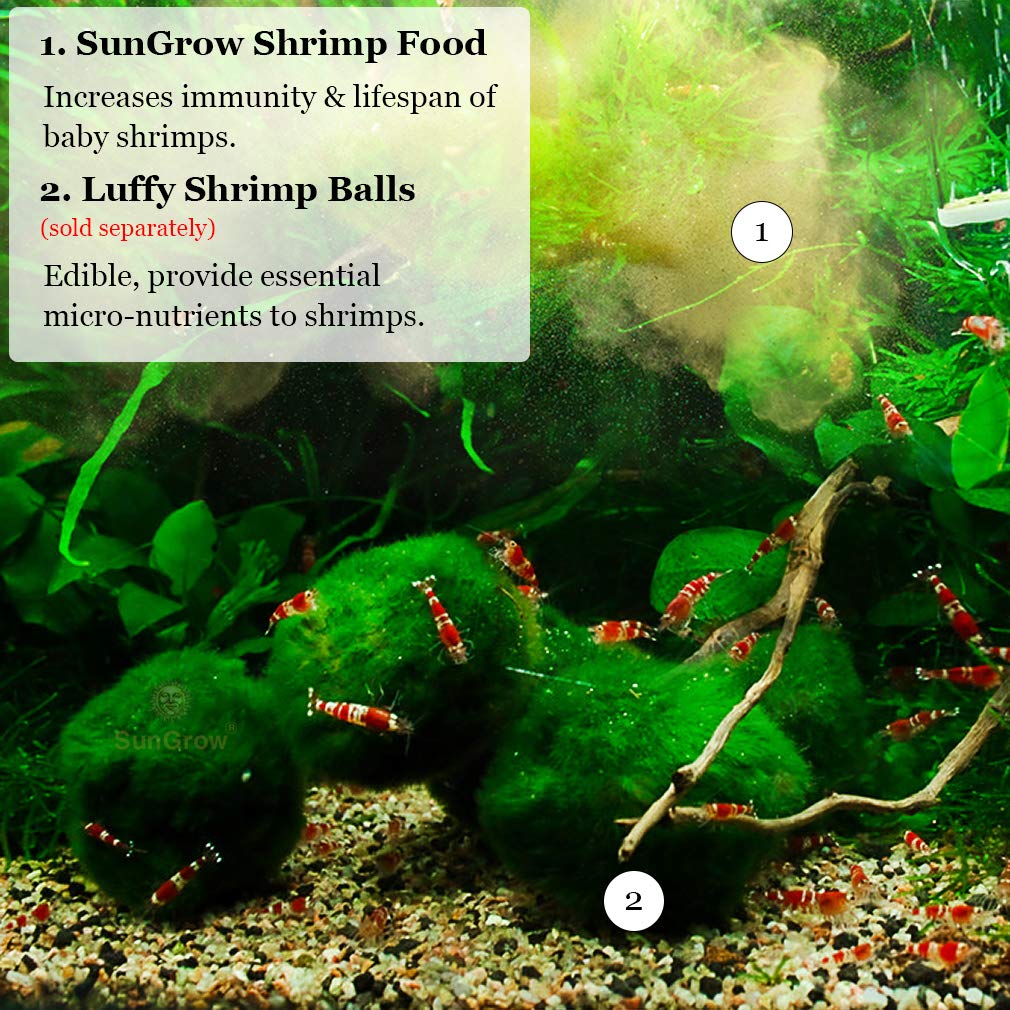 Your one-stop shop for diverse, top-quality aquarium supplies and accessories