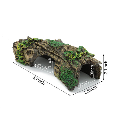 Your one-stop shop for diverse, top-quality aquarium supplies and accessories