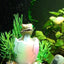 Your one-stop shop for diverse, top-quality aquarium supplies and accessories