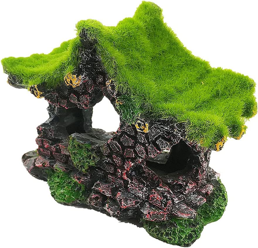 Your one-stop shop for diverse, top-quality aquarium supplies and accessories