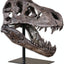 Your one-stop shop for diverse, top-quality aquarium supplies and accessories