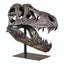 Your one-stop shop for diverse, top-quality aquarium supplies and accessories