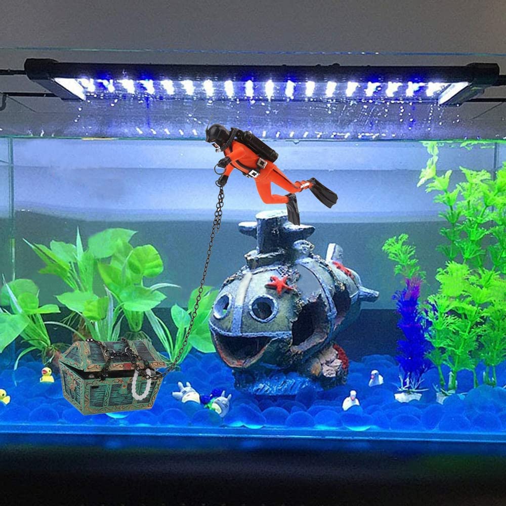 Your one-stop shop for diverse, top-quality aquarium supplies and accessories