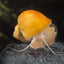 Your one-stop shop for diverse, top-quality aquarium supplies and accessories