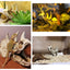 Your one-stop shop for diverse, top-quality aquarium supplies and accessories