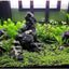 Your one-stop shop for diverse, top-quality aquarium supplies and accessories