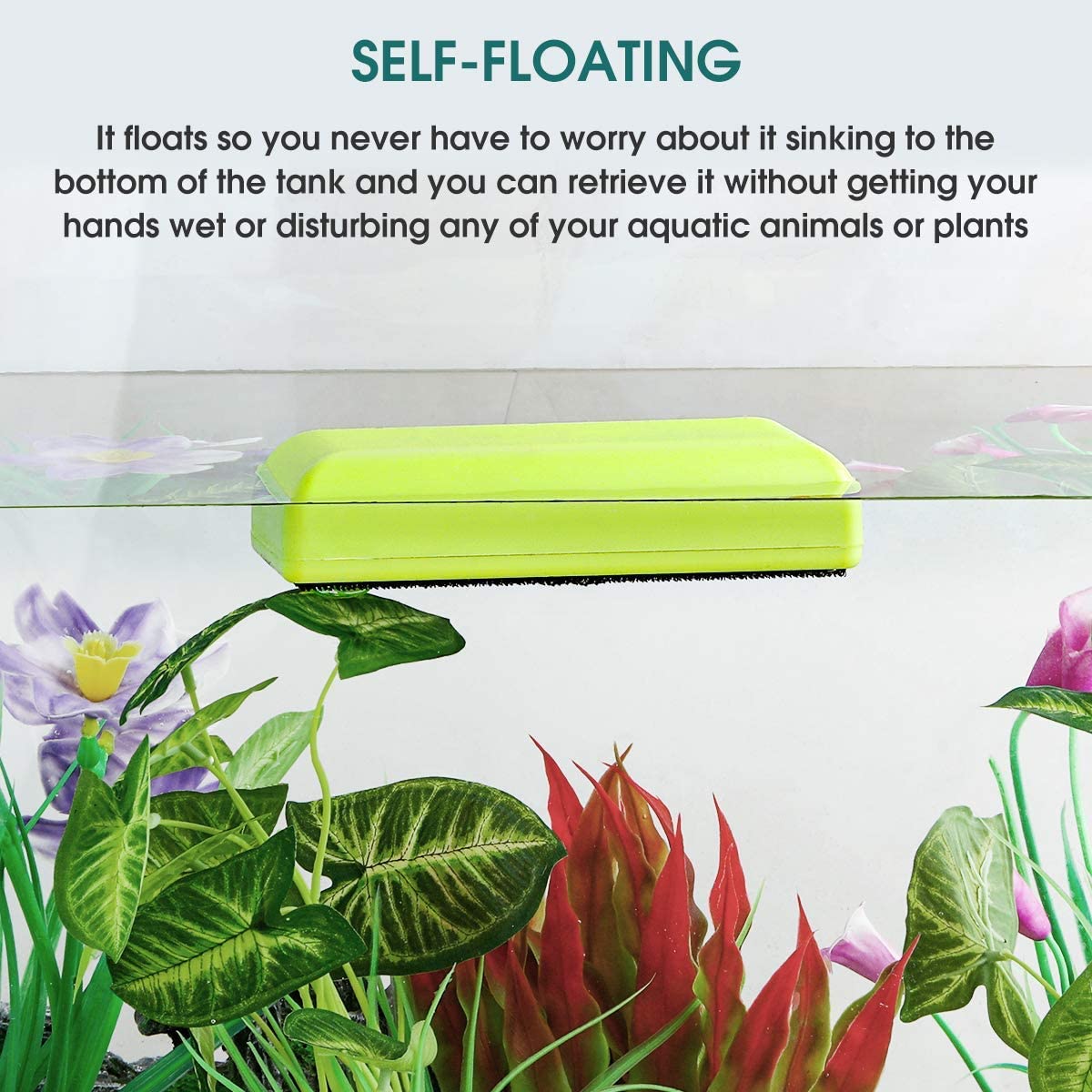 Your one-stop shop for diverse, top-quality aquarium supplies and accessories