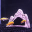 Your one-stop shop for diverse, top-quality aquarium supplies and accessories