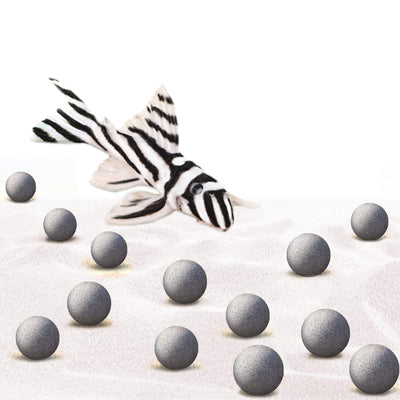 Your one-stop shop for diverse, top-quality aquarium supplies and accessories