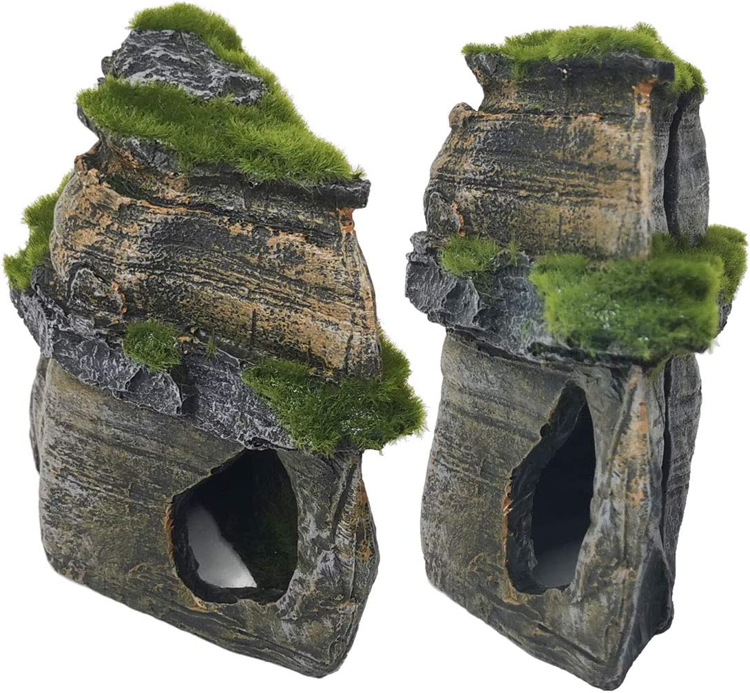 Your one-stop shop for diverse, top-quality aquarium supplies and accessories