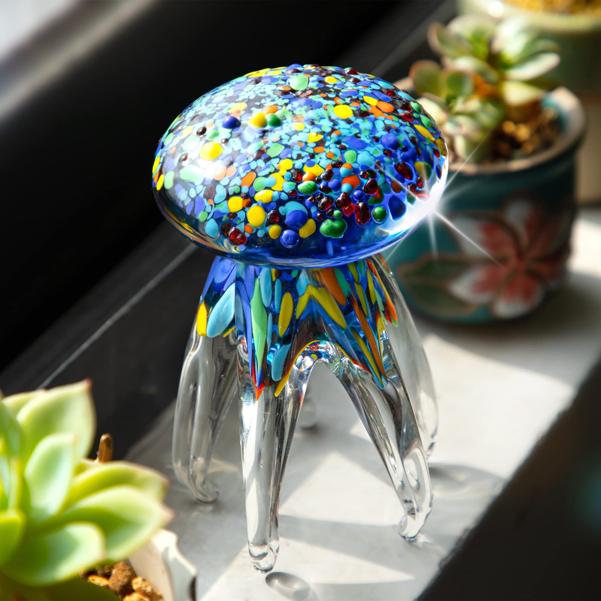 Your one-stop shop for diverse, top-quality aquarium supplies and accessories