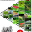 Your one-stop shop for diverse, top-quality aquarium supplies and accessories