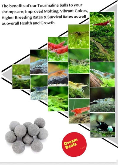 Your one-stop shop for diverse, top-quality aquarium supplies and accessories