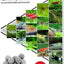 Your one-stop shop for diverse, top-quality aquarium supplies and accessories