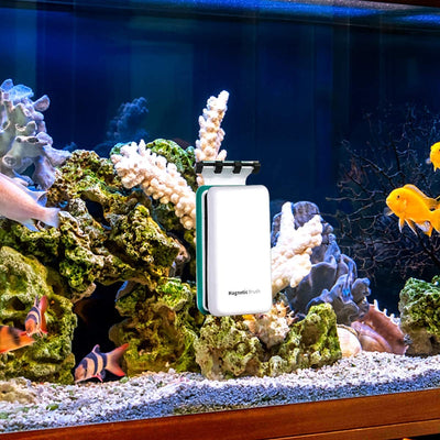 Your one-stop shop for diverse, top-quality aquarium supplies and accessories