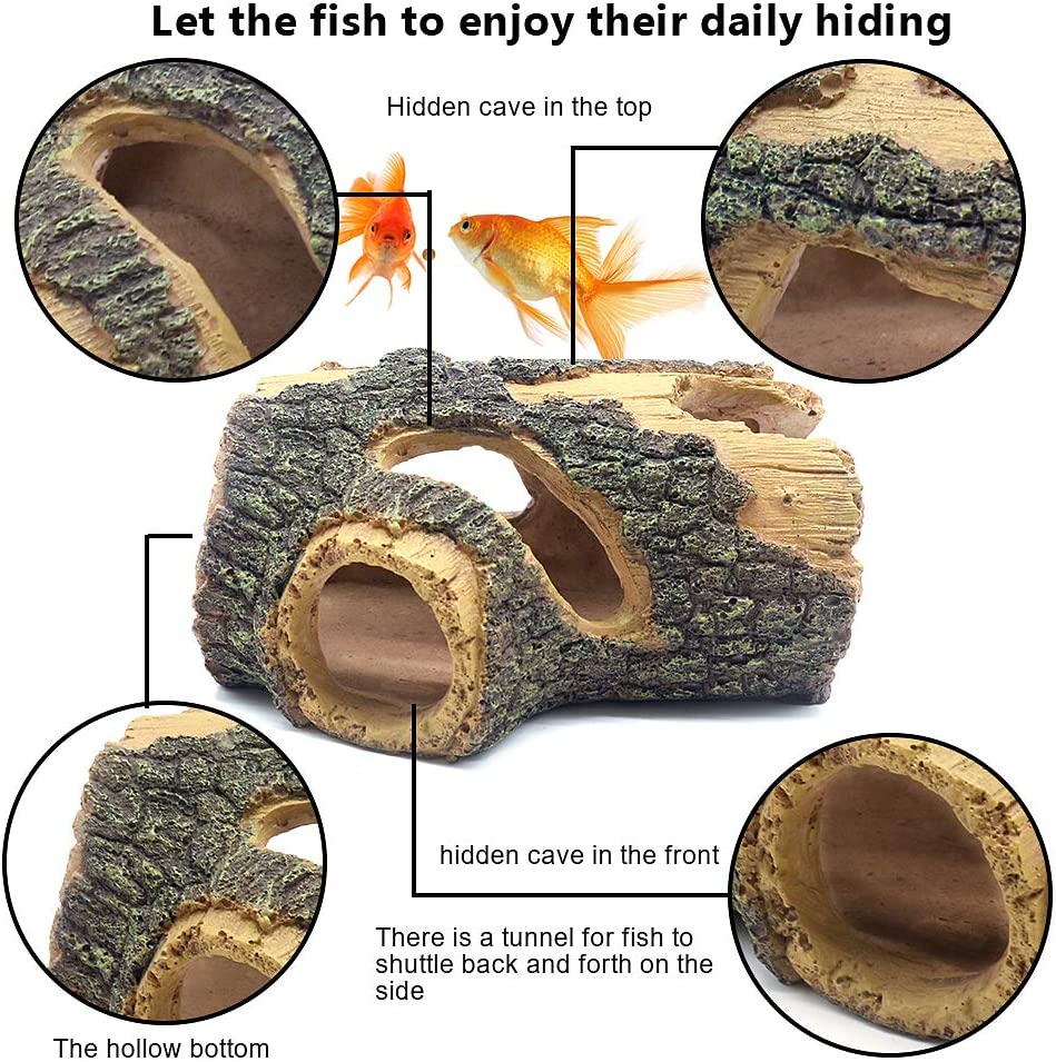 Your one-stop shop for diverse, top-quality aquarium supplies and accessories