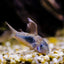 Your one-stop shop for diverse, top-quality aquarium supplies and accessories