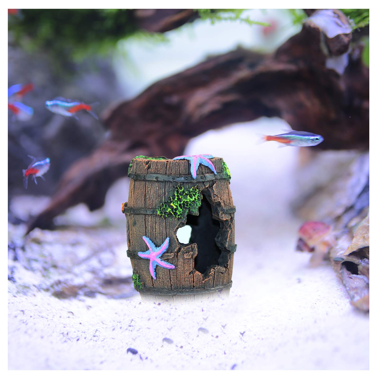 Your one-stop shop for diverse, top-quality aquarium supplies and accessories