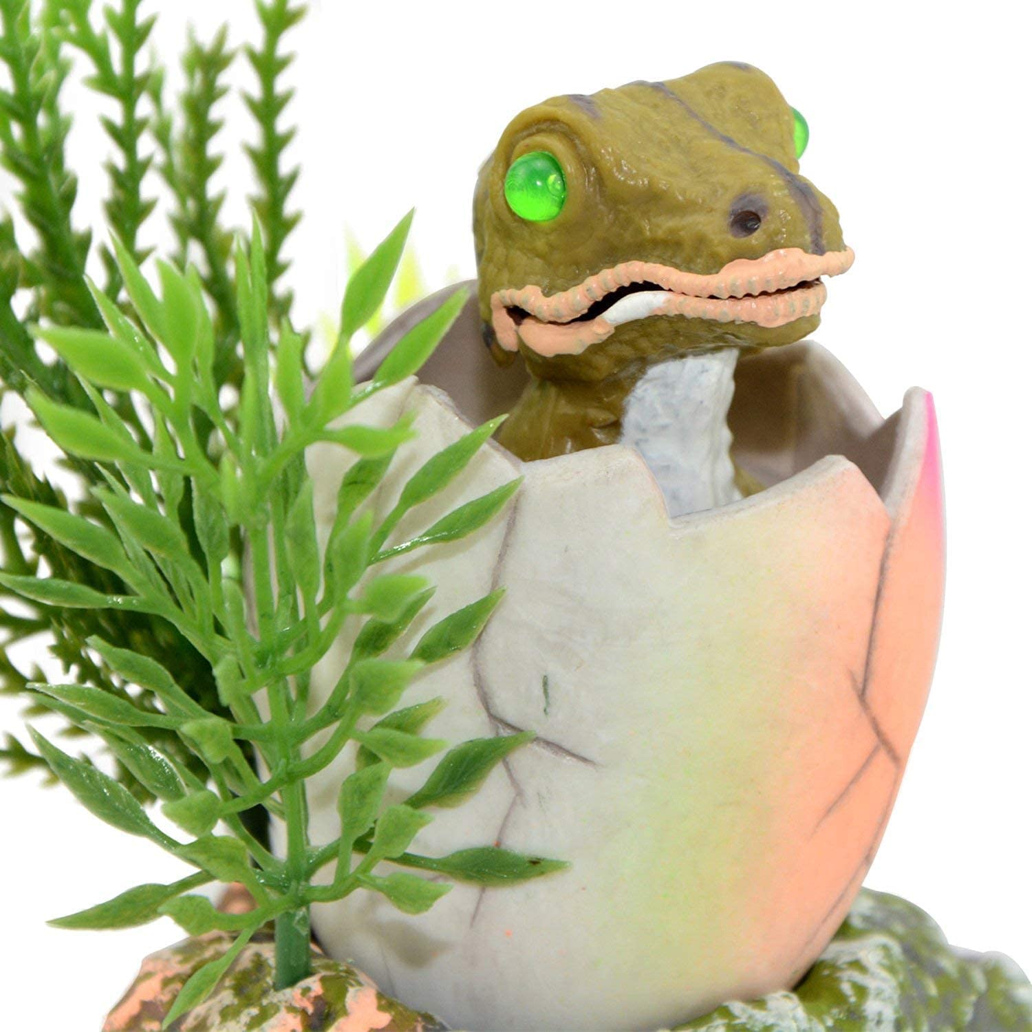 Your one-stop shop for diverse, top-quality aquarium supplies and accessories