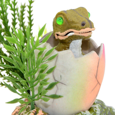 Your one-stop shop for diverse, top-quality aquarium supplies and accessories