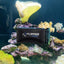 Your one-stop shop for diverse, top-quality aquarium supplies and accessories