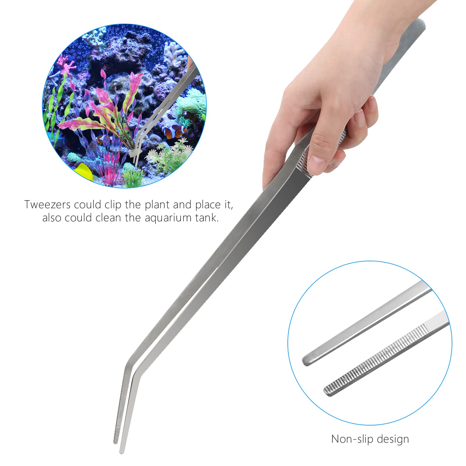 Your one-stop shop for diverse, top-quality aquarium supplies and accessories