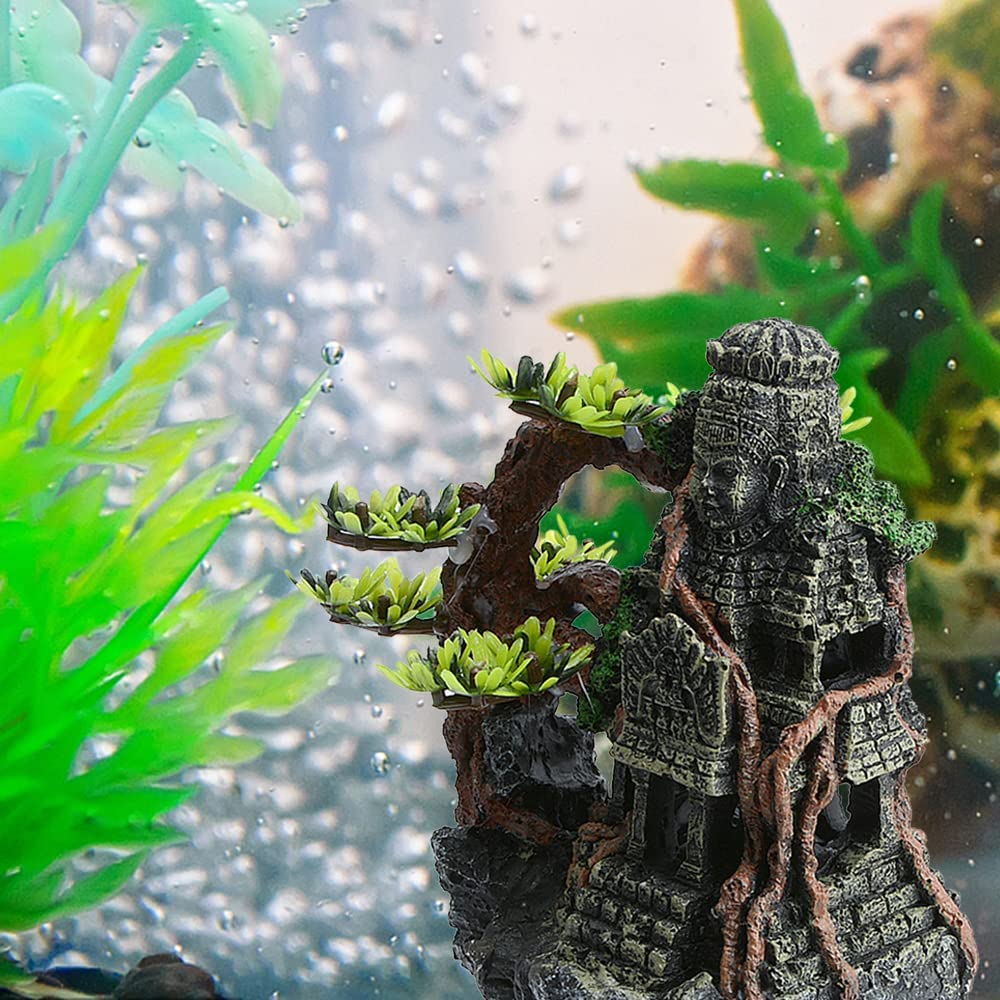 Your one-stop shop for diverse, top-quality aquarium supplies and accessories