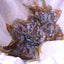 Your one-stop shop for diverse, top-quality aquarium supplies and accessories