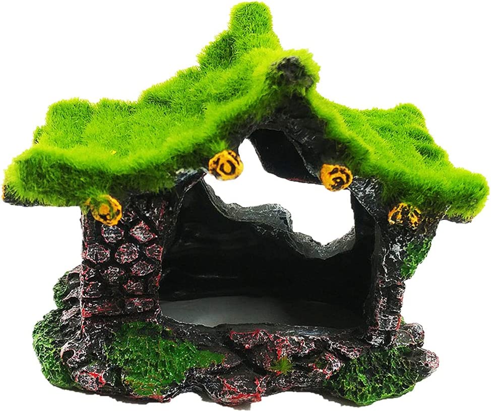 Your one-stop shop for diverse, top-quality aquarium supplies and accessories