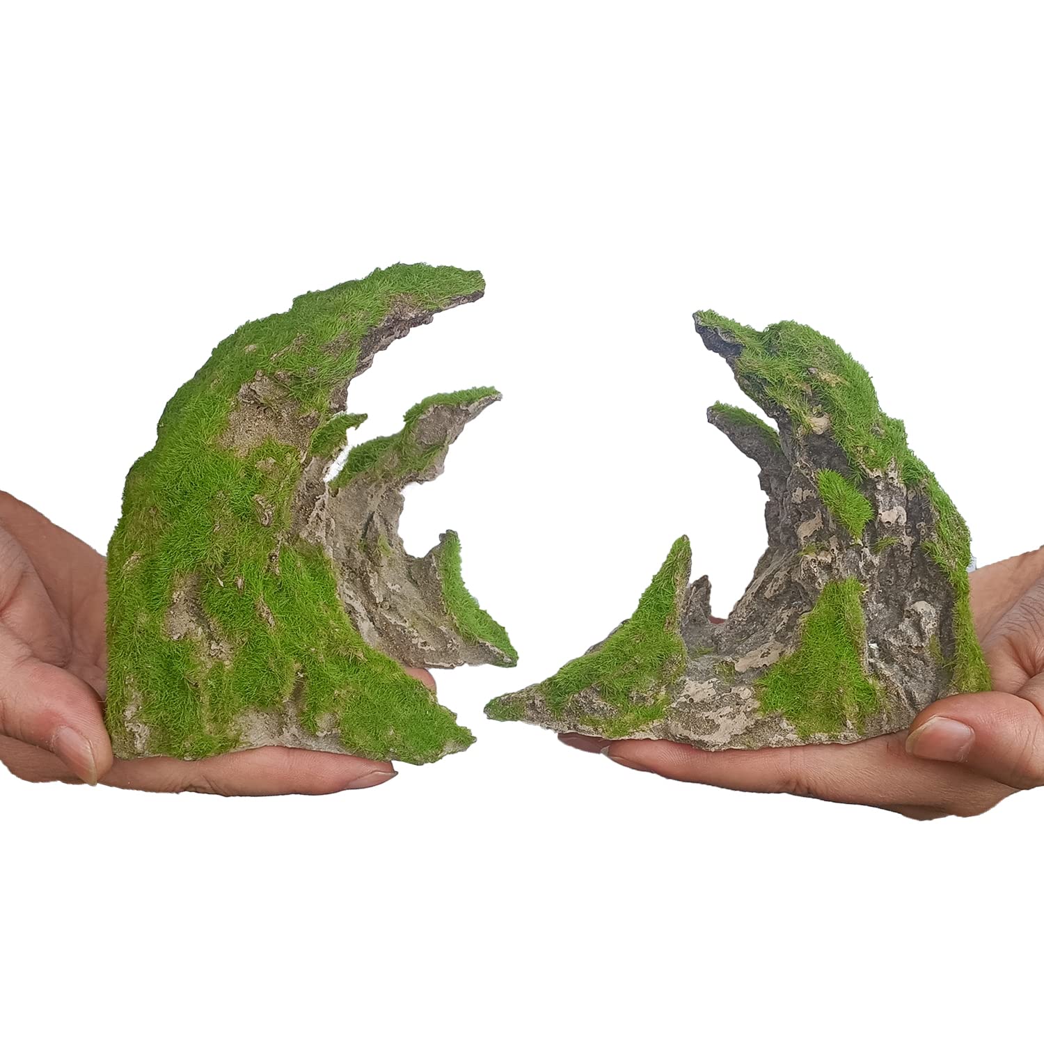 Your one-stop shop for diverse, top-quality aquarium supplies and accessories