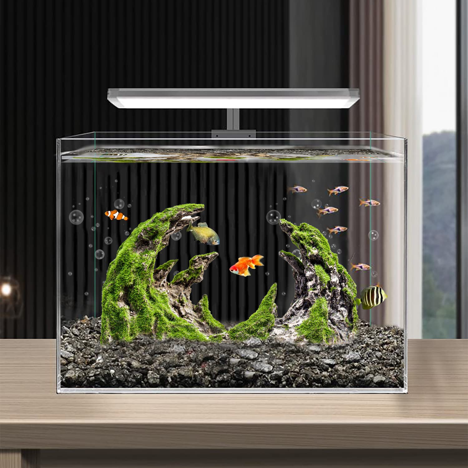 Your one-stop shop for diverse, top-quality aquarium supplies and accessories