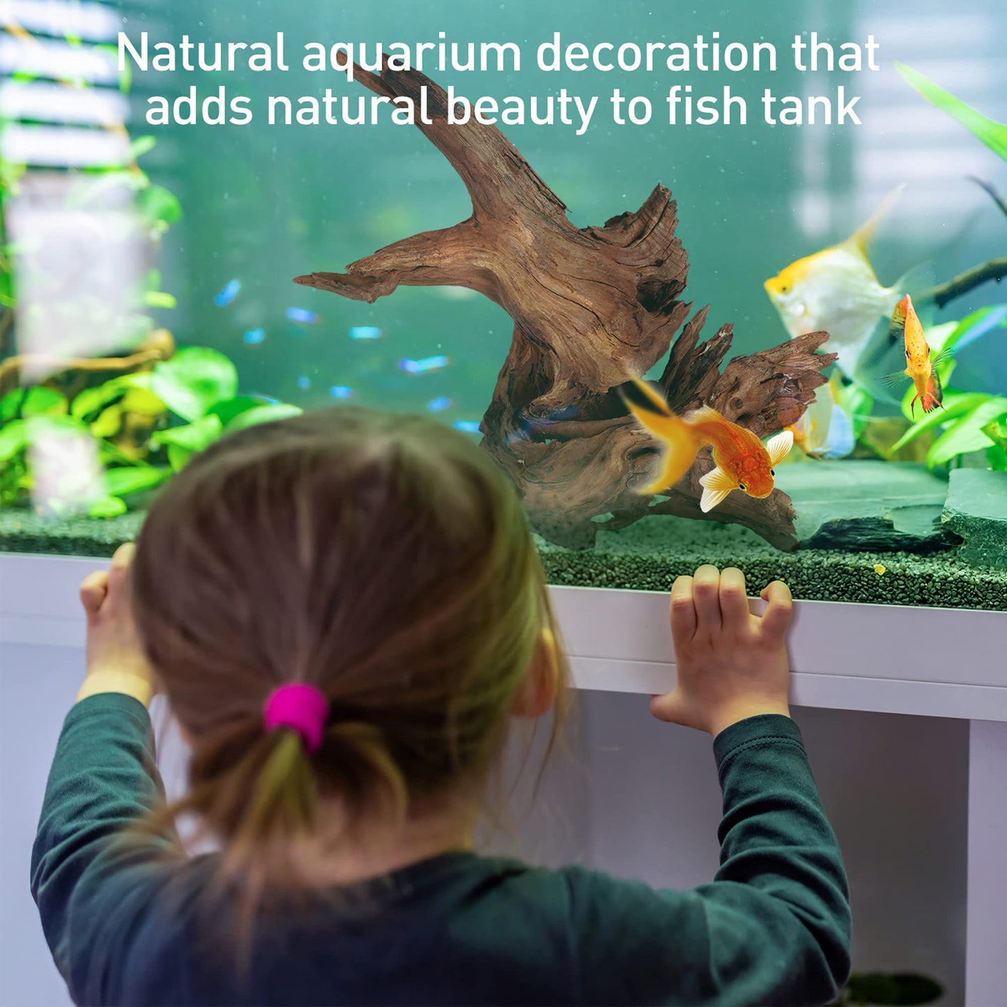 Your one-stop shop for diverse, top-quality aquarium supplies and accessories