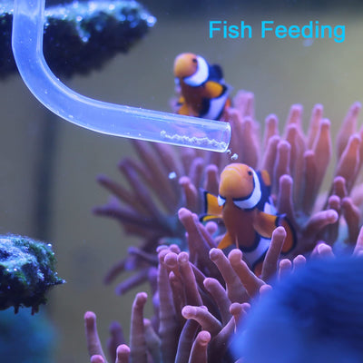 Your one-stop shop for diverse, top-quality aquarium supplies and accessories