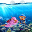 Your one-stop shop for diverse, top-quality aquarium supplies and accessories