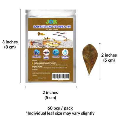 Your one-stop shop for diverse, top-quality aquarium supplies and accessories