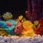 Your one-stop shop for diverse, top-quality aquarium supplies and accessories