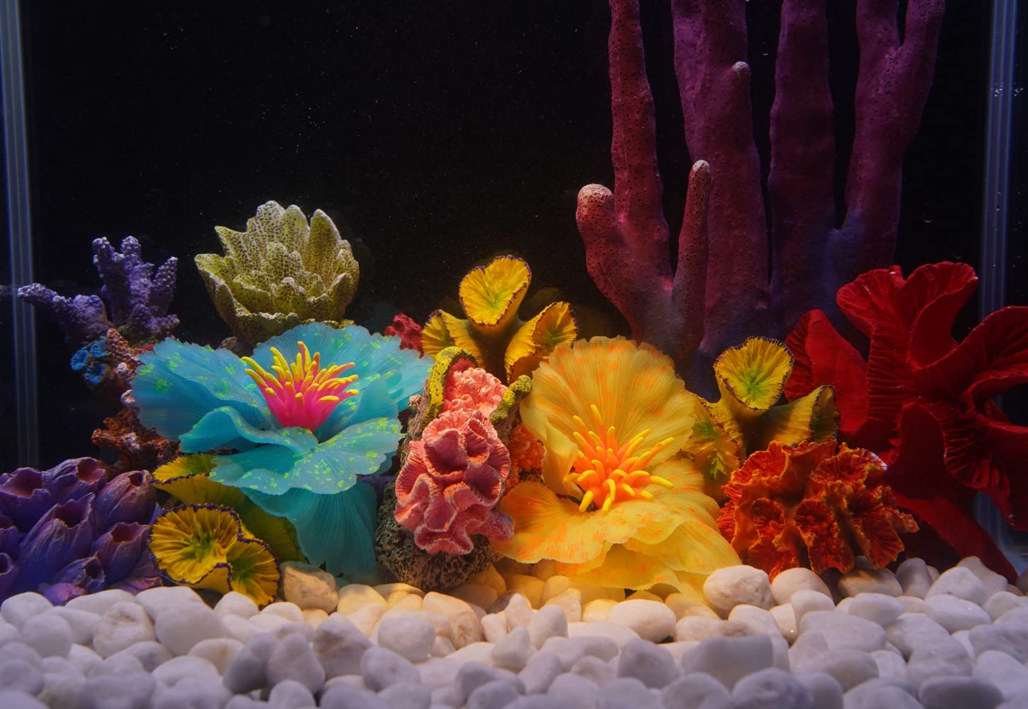 Your one-stop shop for diverse, top-quality aquarium supplies and accessories
