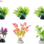 Your one-stop shop for diverse, top-quality aquarium supplies and accessories