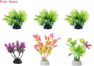 Your one-stop shop for diverse, top-quality aquarium supplies and accessories