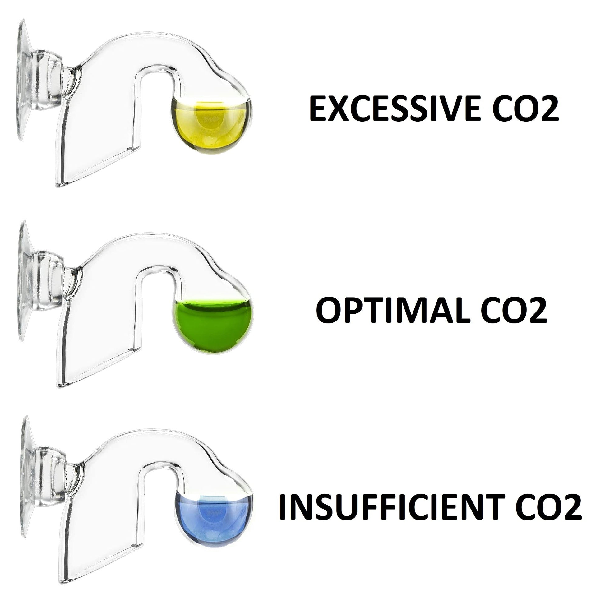 Your one-stop shop for diverse, top-quality aquarium supplies and accessories