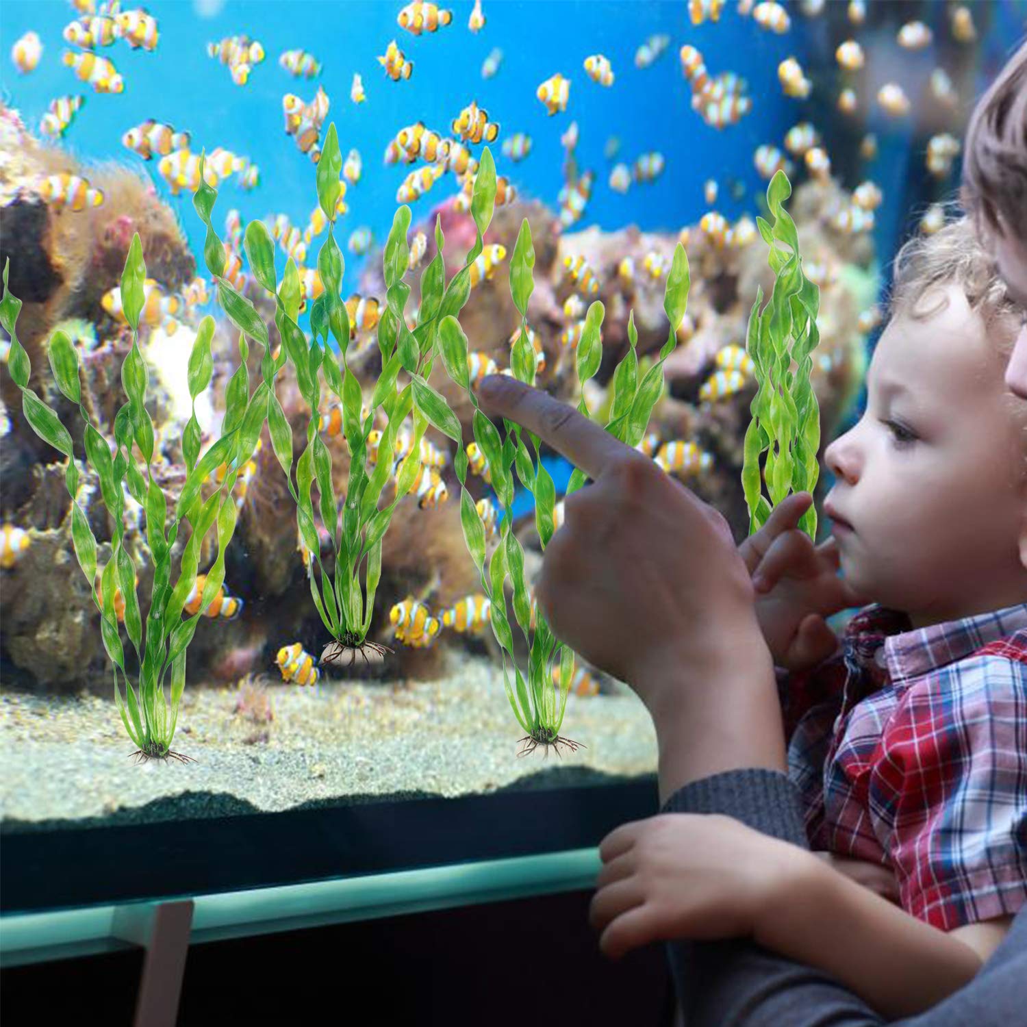 Your one-stop shop for diverse, top-quality aquarium supplies and accessories