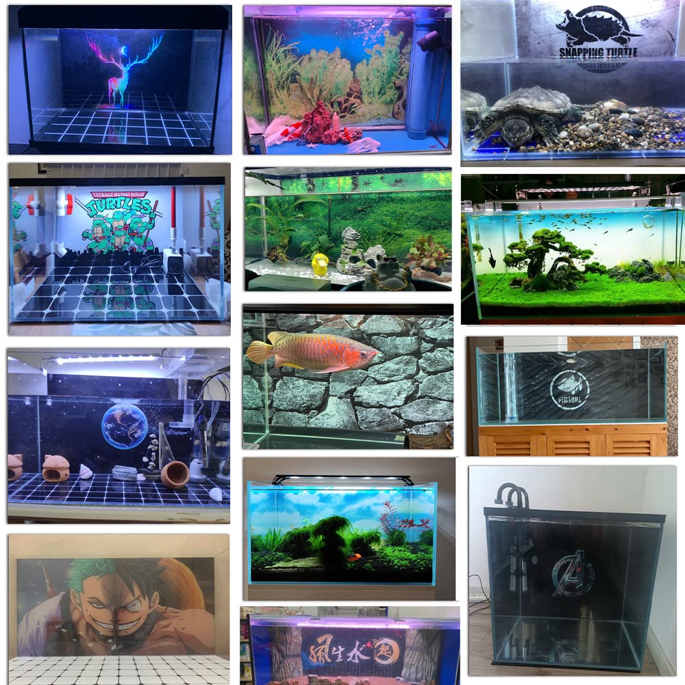 Your one-stop shop for diverse, top-quality aquarium supplies and accessories