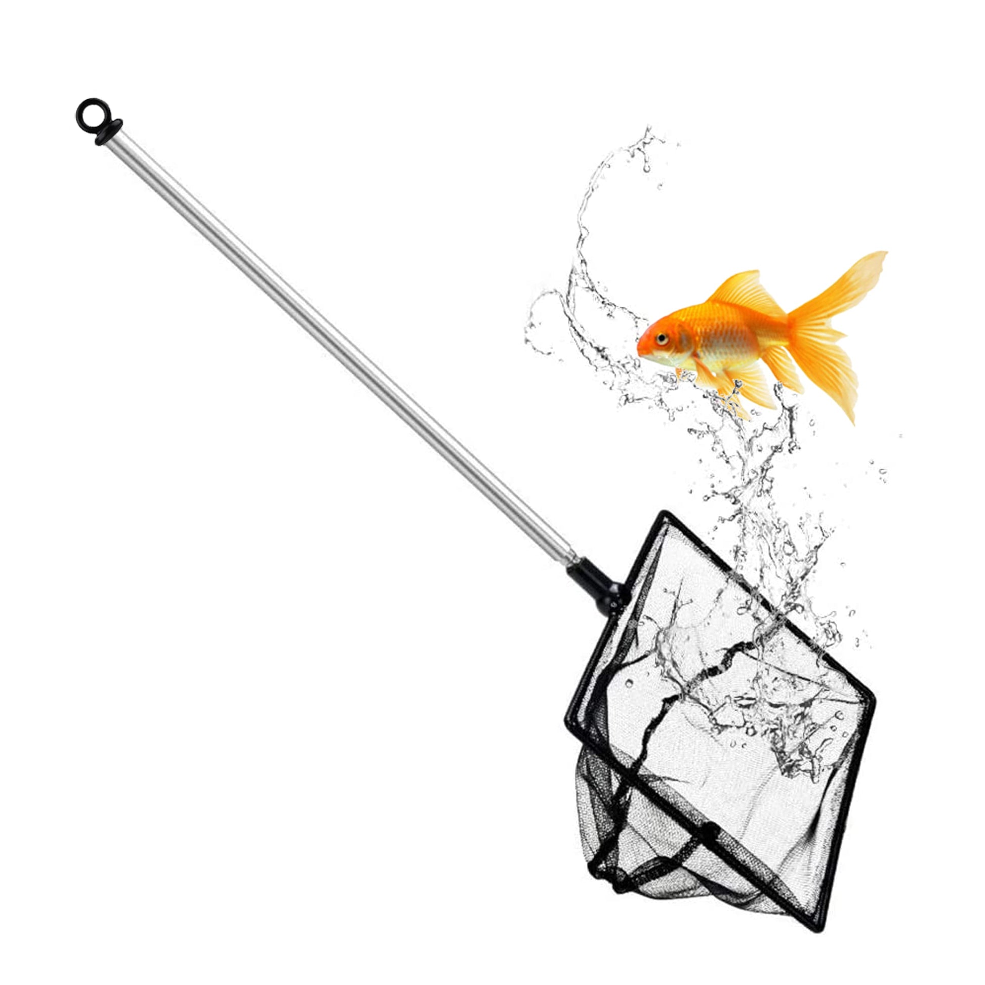 Your one-stop shop for diverse, top-quality aquarium supplies and accessories
