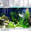 Your one-stop shop for diverse, top-quality aquarium supplies and accessories
