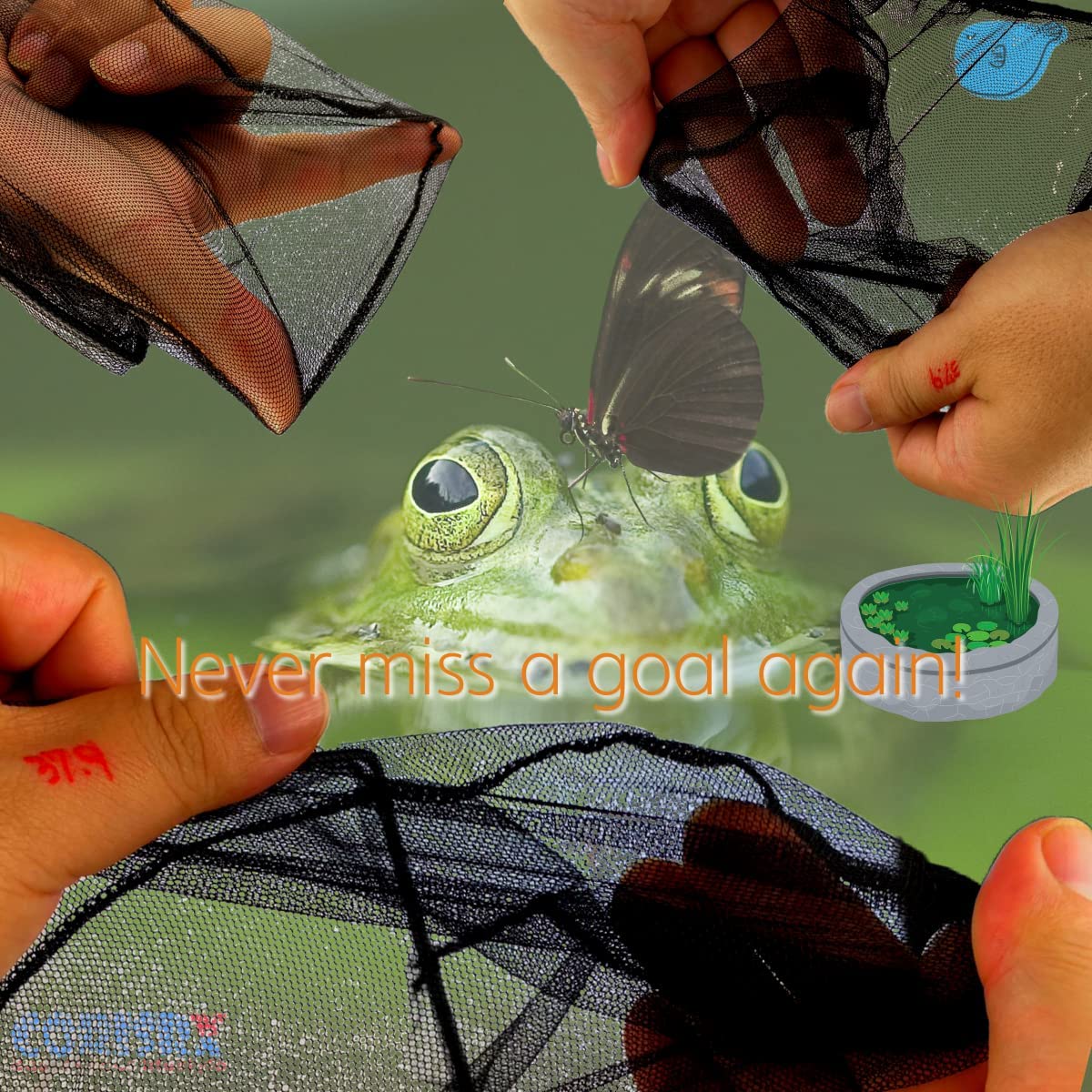 Your one-stop shop for diverse, top-quality aquarium supplies and accessories