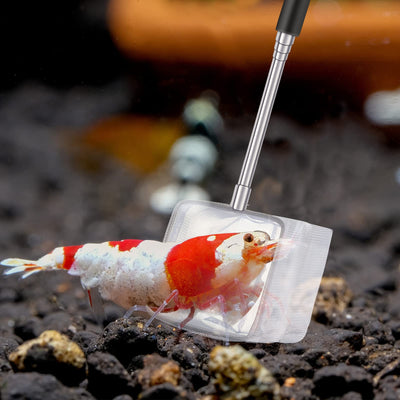 Your one-stop shop for diverse, top-quality aquarium supplies and accessories