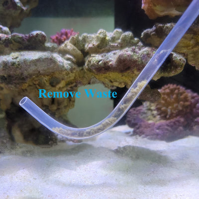 Your one-stop shop for diverse, top-quality aquarium supplies and accessories