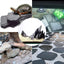 Your one-stop shop for diverse, top-quality aquarium supplies and accessories