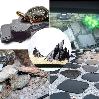 Your one-stop shop for diverse, top-quality aquarium supplies and accessories