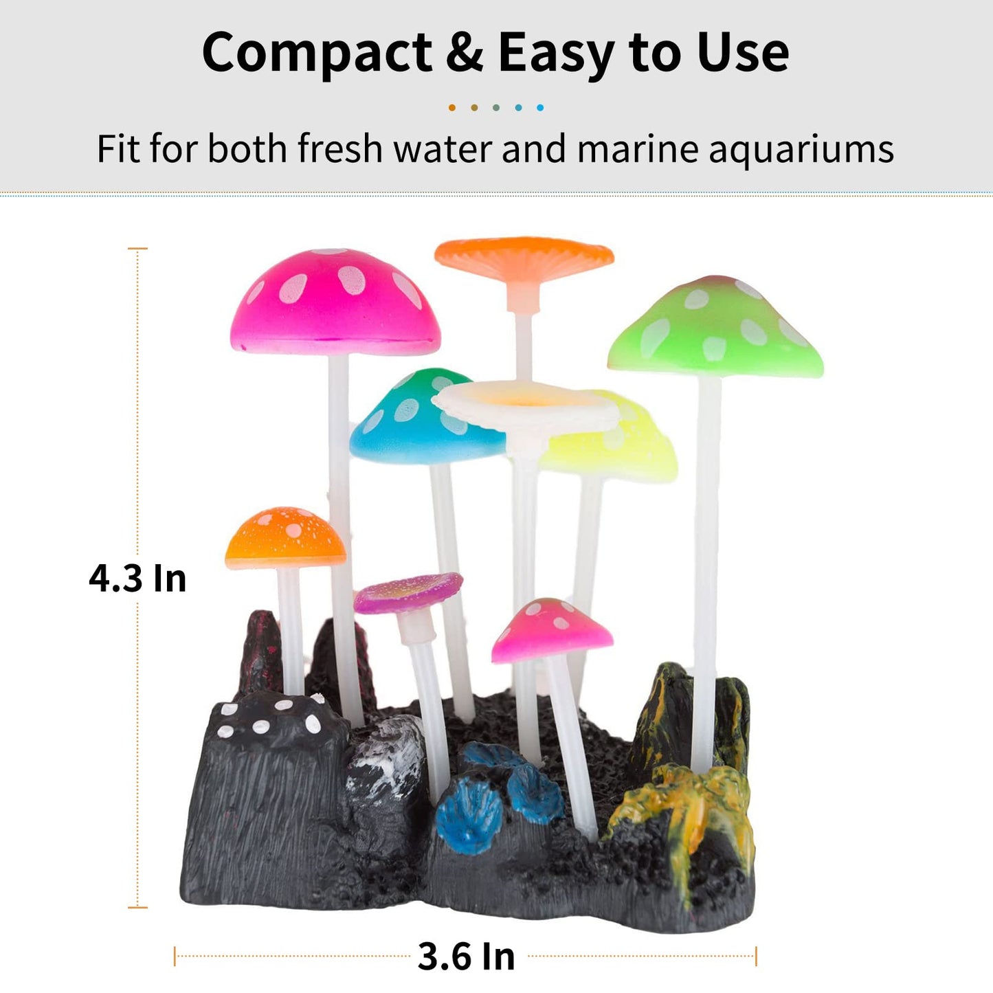 Your one-stop shop for diverse, top-quality aquarium supplies and accessories